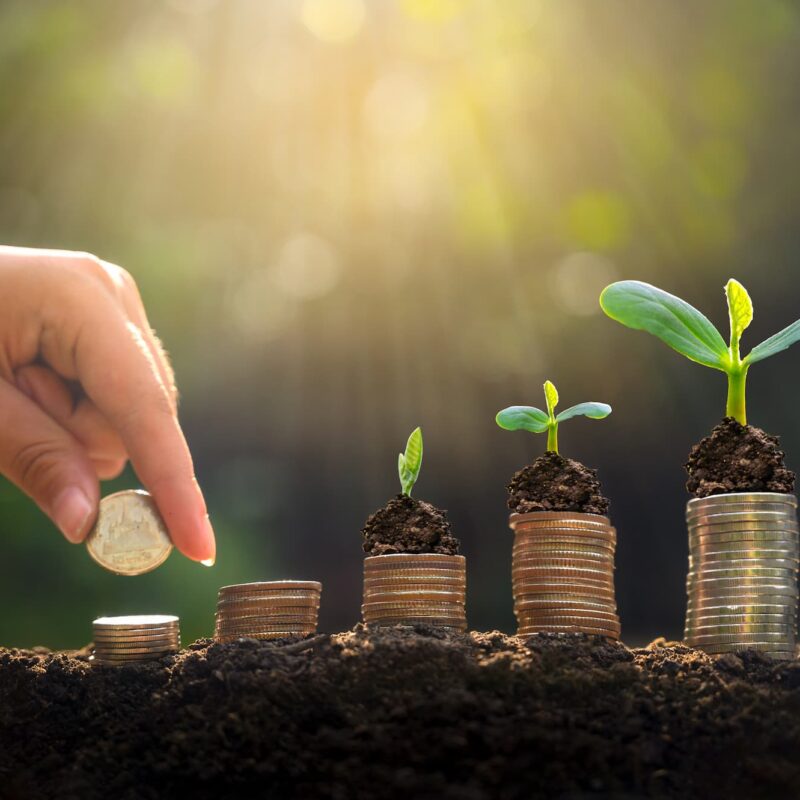 Managing for Profitable Growth