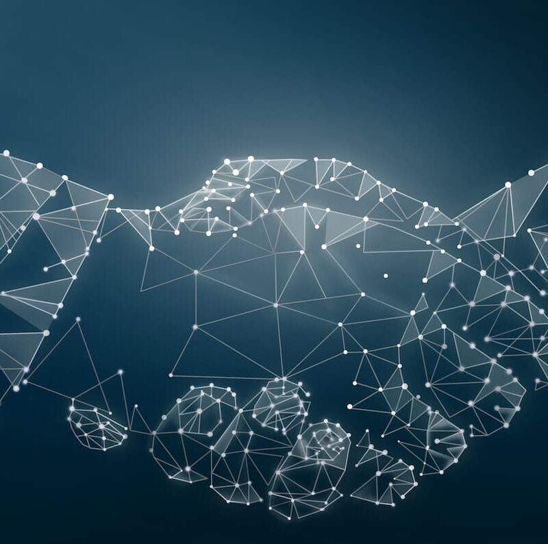 The Abundances of the Digital Era